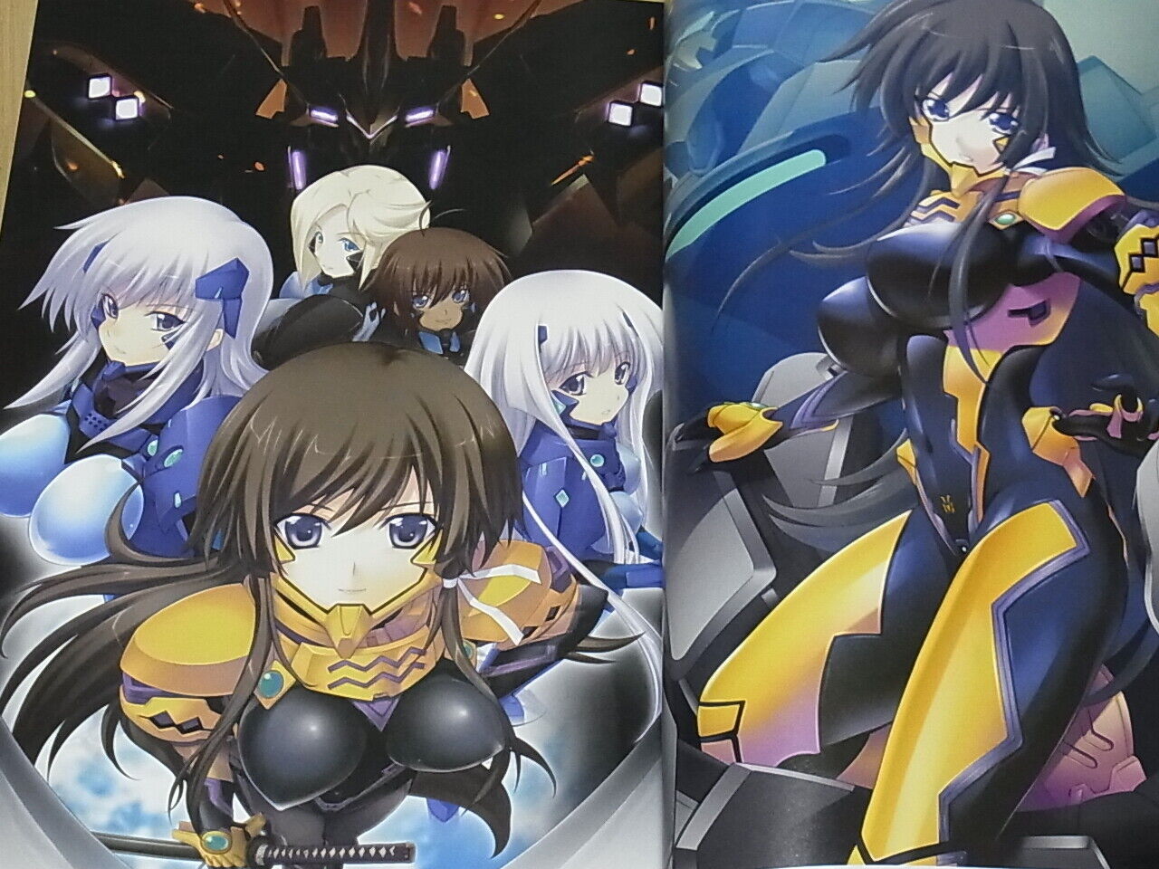 age SOU MIYATA Art Work Book Muv-Luv Alternative Total Eclipse The Euro Front 