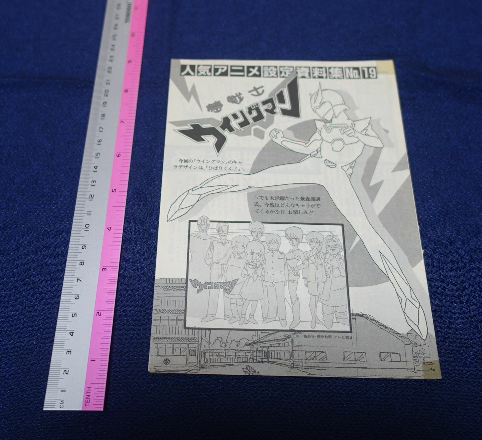 Cut Out Setting Art Article Wing-Man 