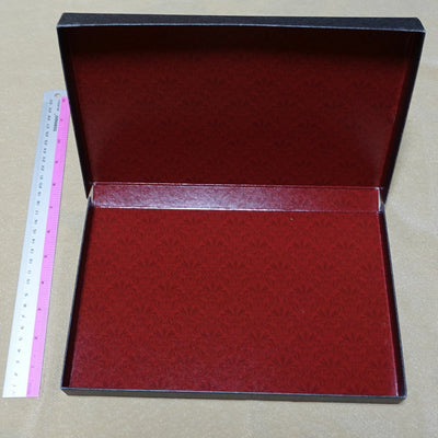 Dragon's Crown PRO Design Hard Paper Box 