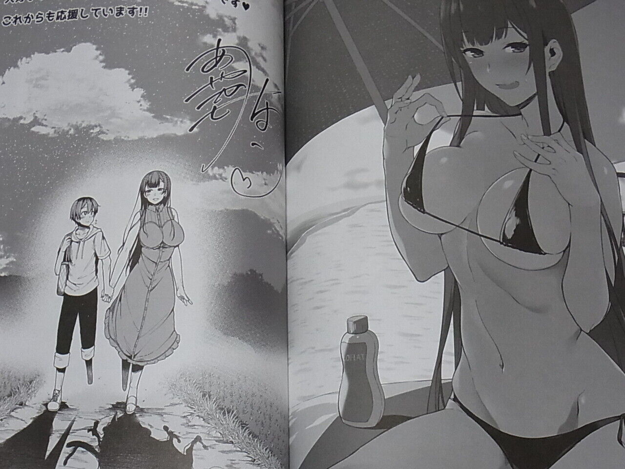 Pochi Iida The Elder Sister Like One Illustration Art Book Ane Naru Mono 5.5 