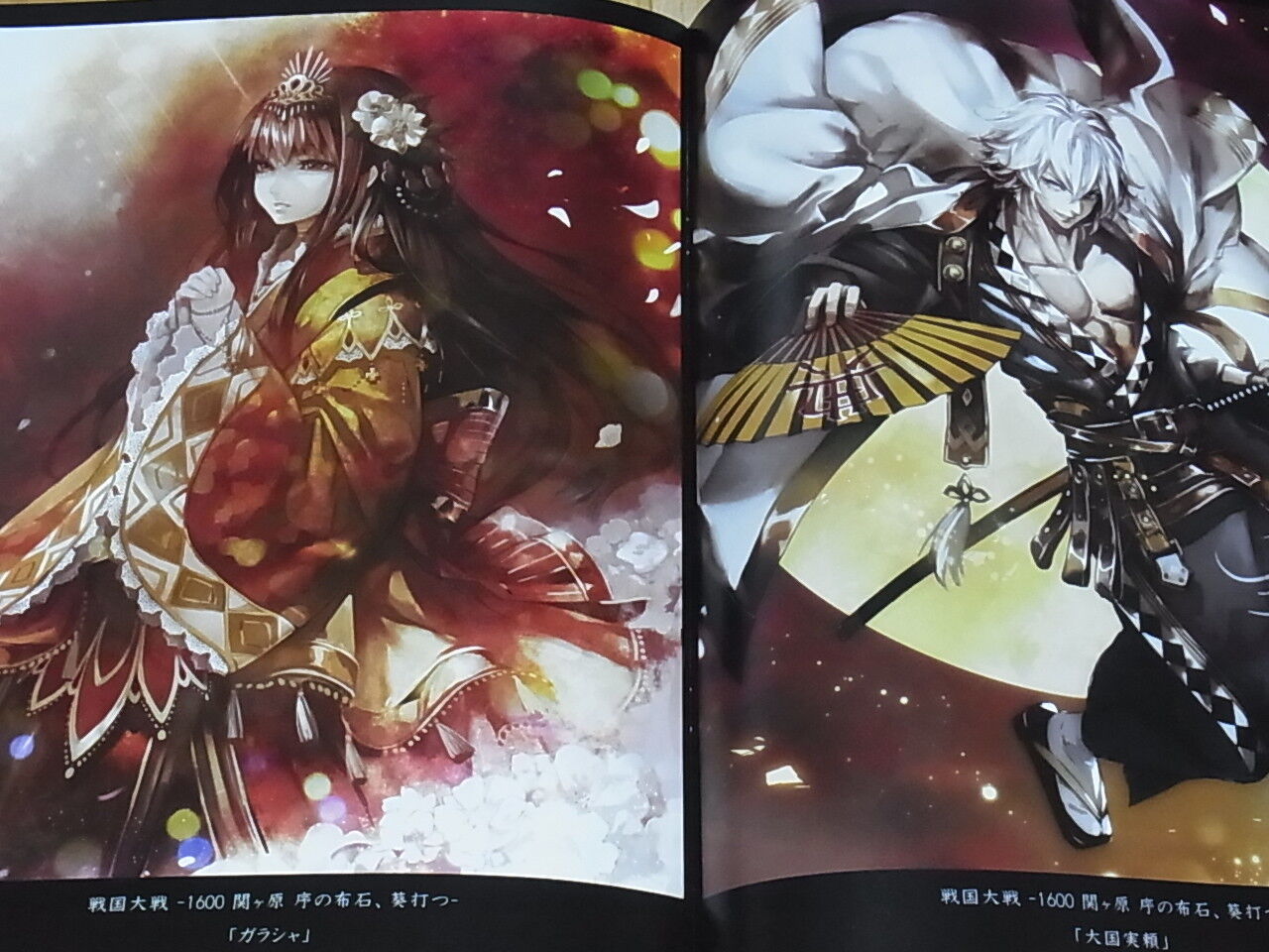 VampireKiller Color Illustration Art Book ANONIMO vol.2 C92 
