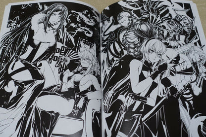 Pizzaya Eiri Iwamoto Fate Grand Order FGO Fan Art Book Akusaba 
