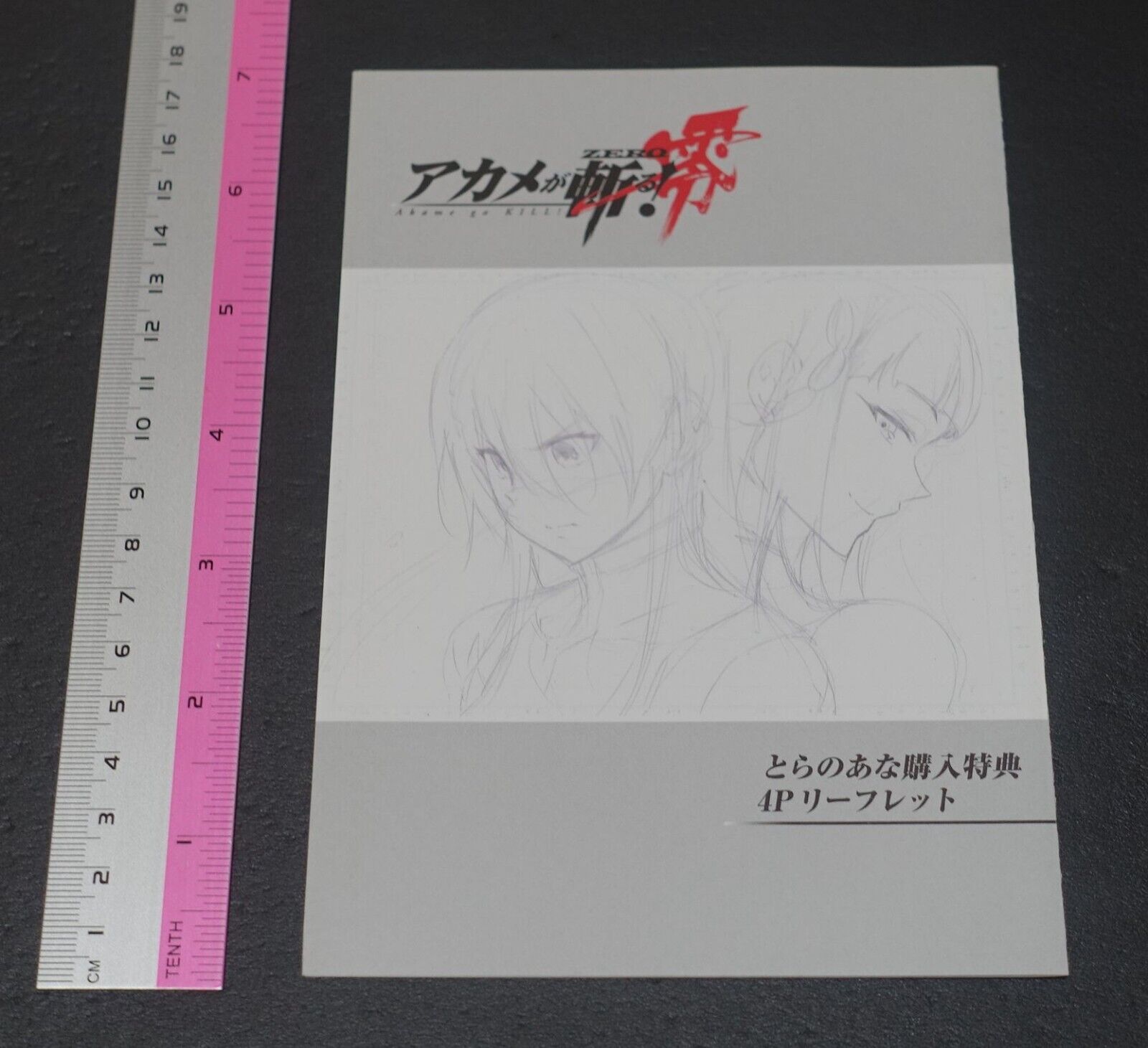 Akame ga Kill! Zero Rough Illustration Art Mini Booklet C 4page 
