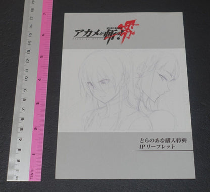 Akame ga Kill! Zero Rough Illustration Art Mini Booklet C 4page 