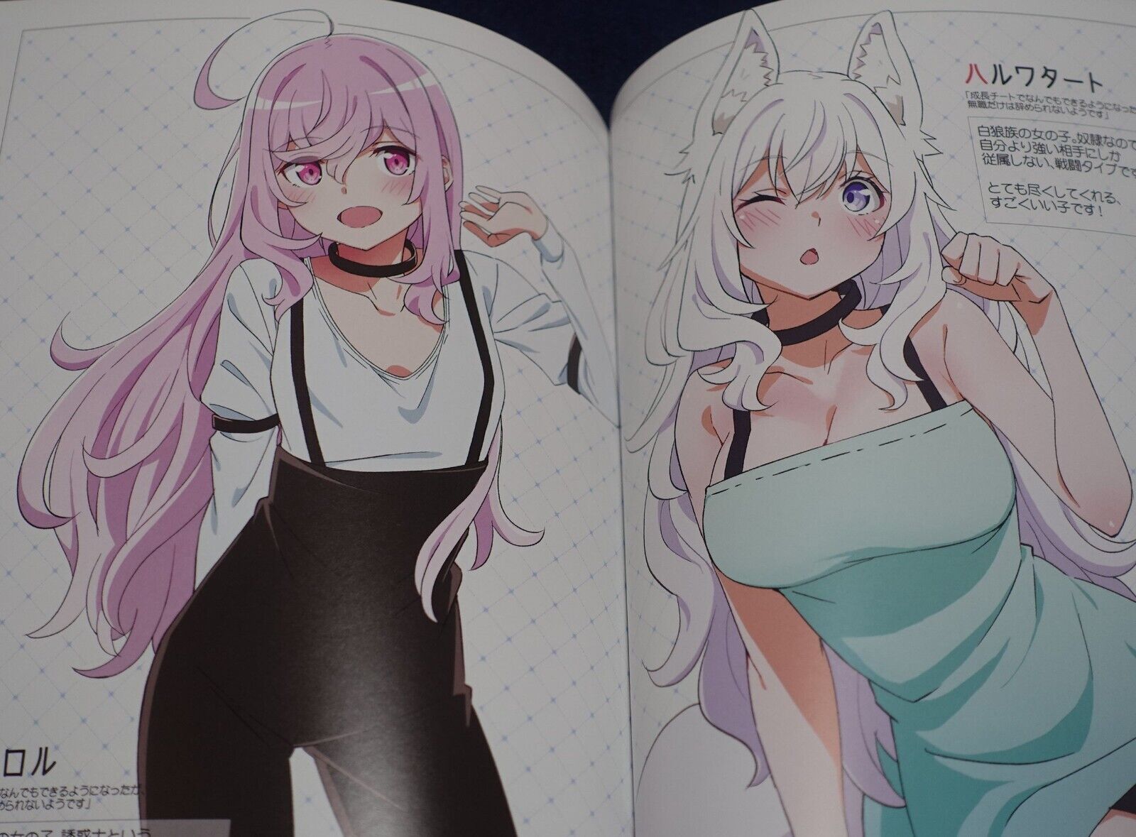 Now printing! ISEKAI TENSEI HEROINES FAN ART ILLUSTRATIONS BOOK C101 