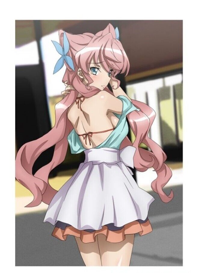 Hanagara Shirt Symphogear Color Fan Art Book SWIMSUIT UNDER CLOTHES Pre-Order 