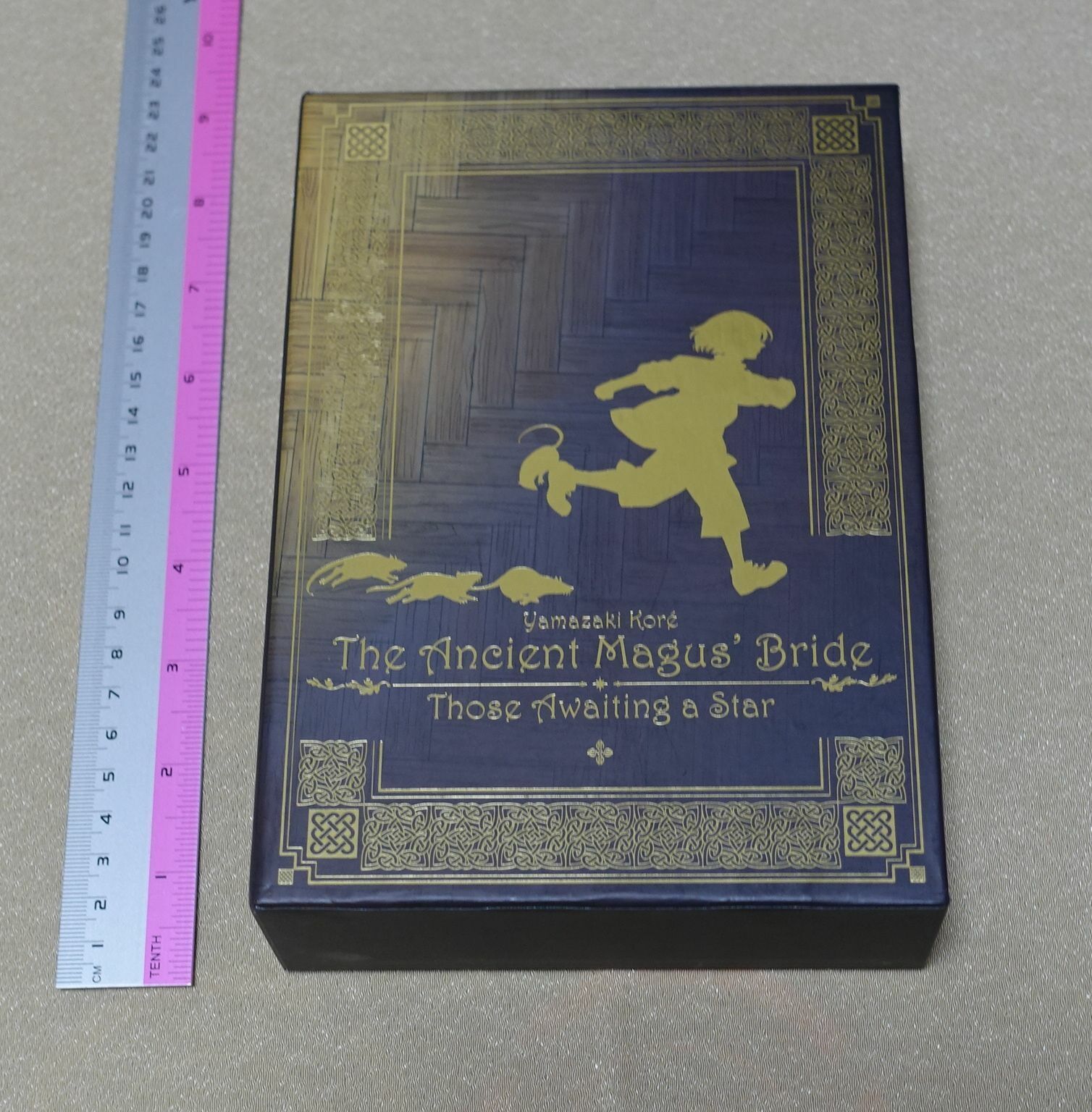 The Ancient Magus Bride Mahou Tsukai no Yome Those Awaiting a Star DVD Set 