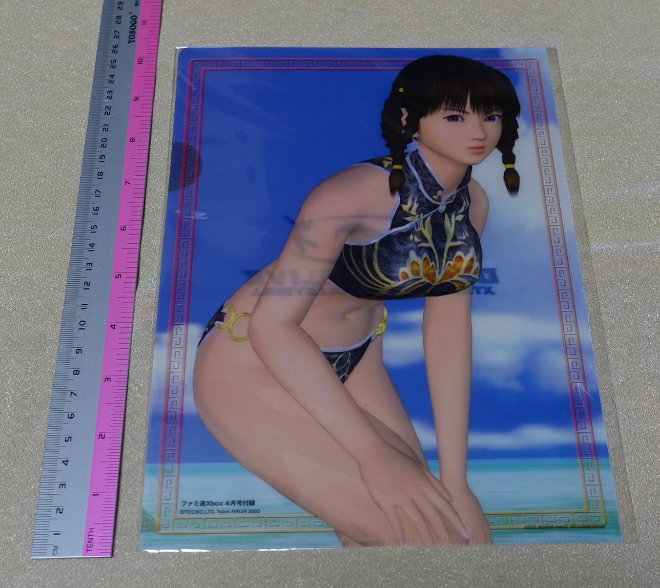 DEAD OR ALIVE DOA XTREME BEACH VOLLEY BALL PVC Art Sheet Leifang 