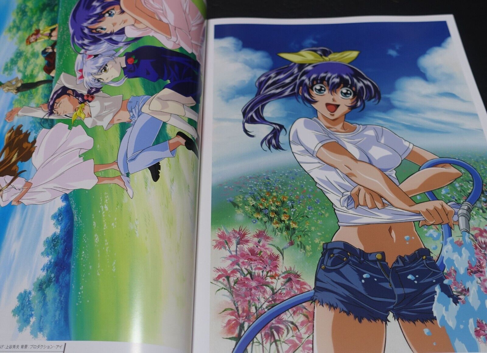 Martian Successor Nadesico Animation Art Work Book & Key Frame Art Book 