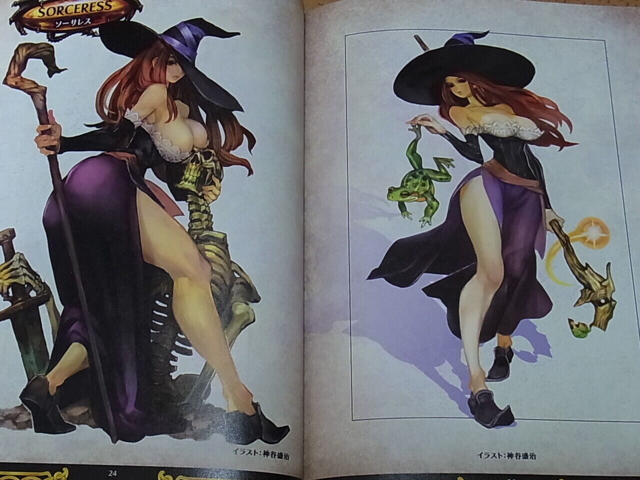 Dragon's Crown Color Art Book Art Works 62page 