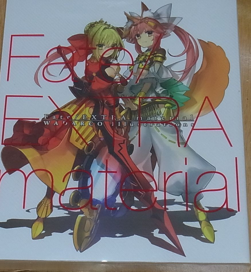 TYPE-MOON Fate EXTRA material Limited Version Arco Wada 226 & 50 page 