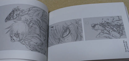 RYOJI NAKAMORI WORKS 2009-2011 HELLSING 7-11 Key Frame art collection book 
