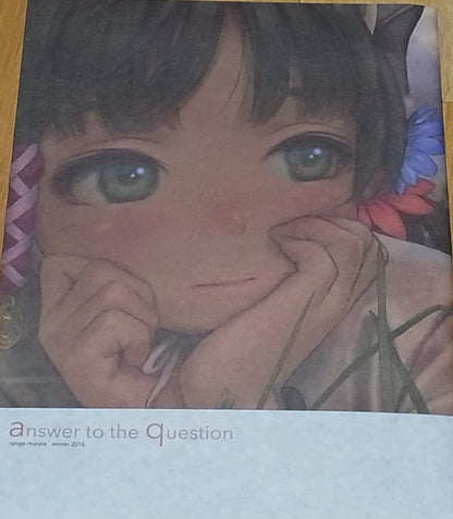 RANGE MURATA Color Art Book answer to the question C91 