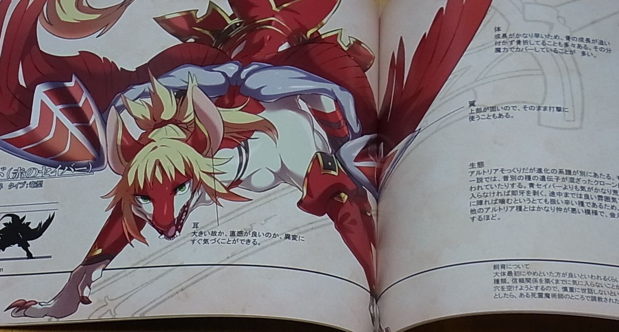 Sokomono Suisou Fate FGO Fan Art Book ANIMALIZED SERVANT GUIDE IN FGO ver Altria 