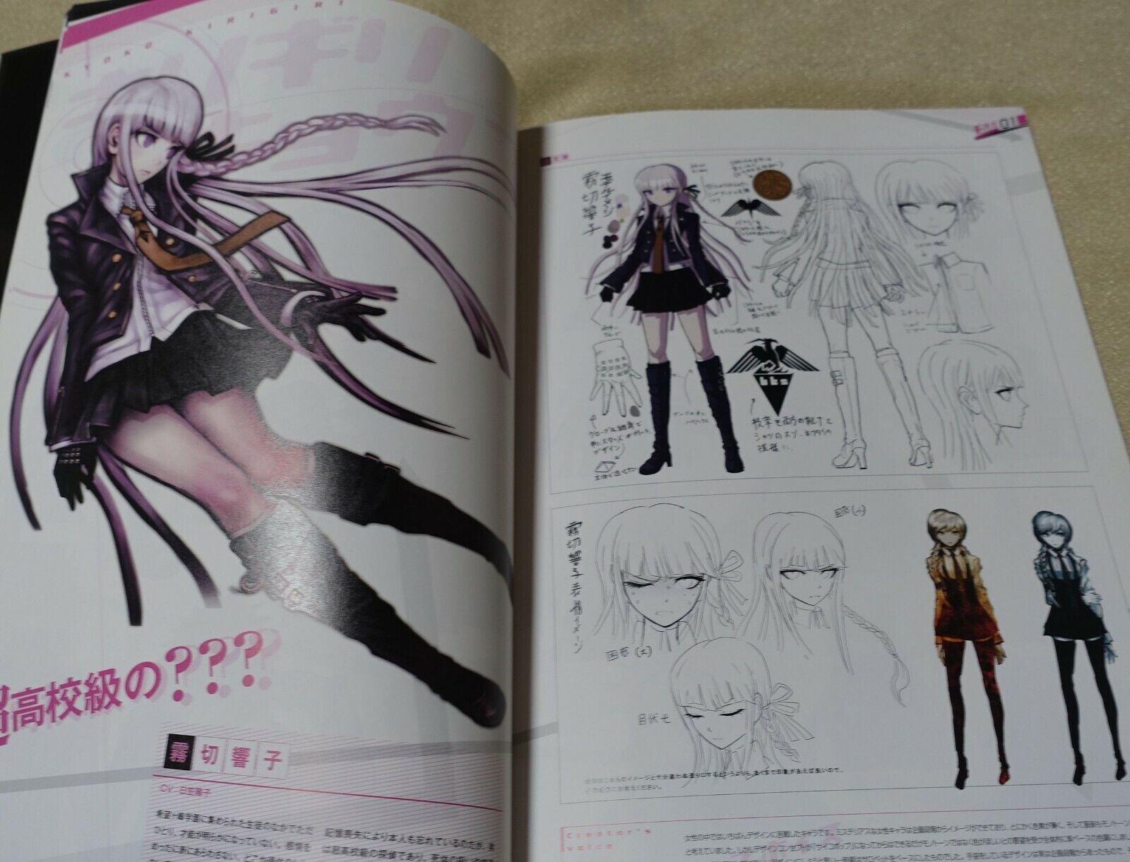 Danganronpa Visual Setting Art Fan Book 