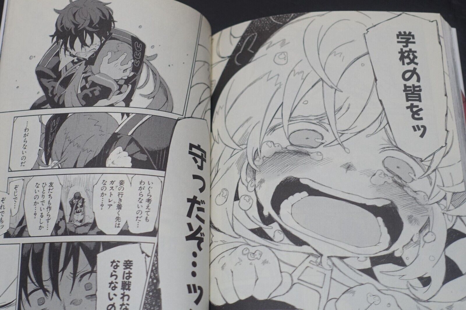 Japanese Comic Black Bullet 1-4 & INTERLUDE FAQ! Complete Set 