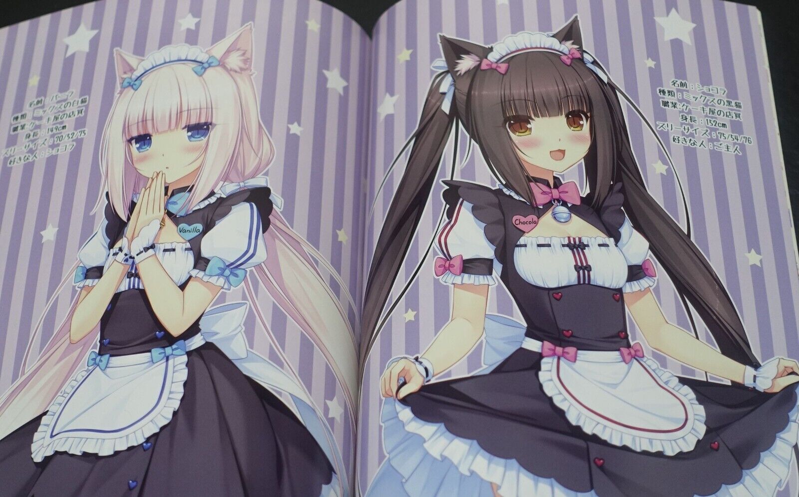 NEKO WORKs Sayori Nekopara Chocola & Vanilla Color Art & Comic Book Nekopara 01 