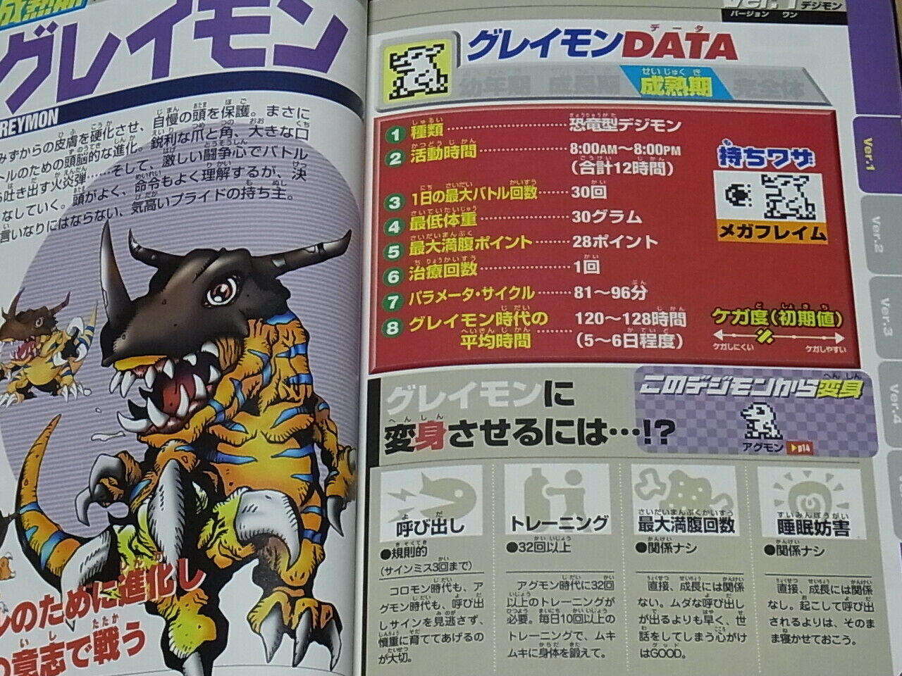 DIGITAL MONSTER FINAL DATA PICTURE BOOK DIGIMON 