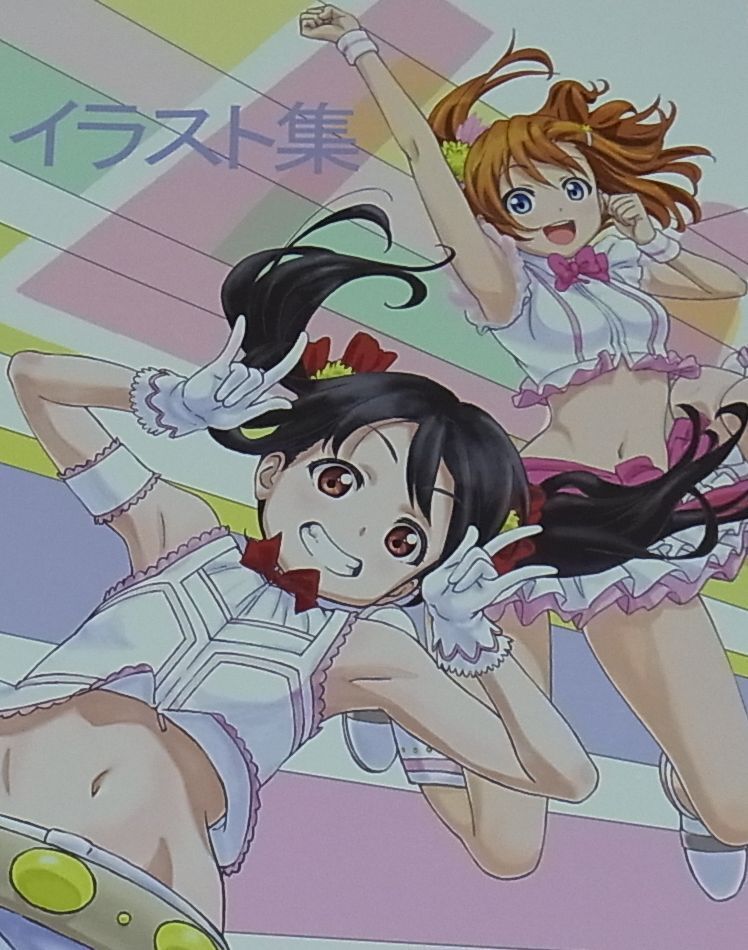 Love Live! and other Characters Color Fan Art Book Irasuto Syuu Lovelive 