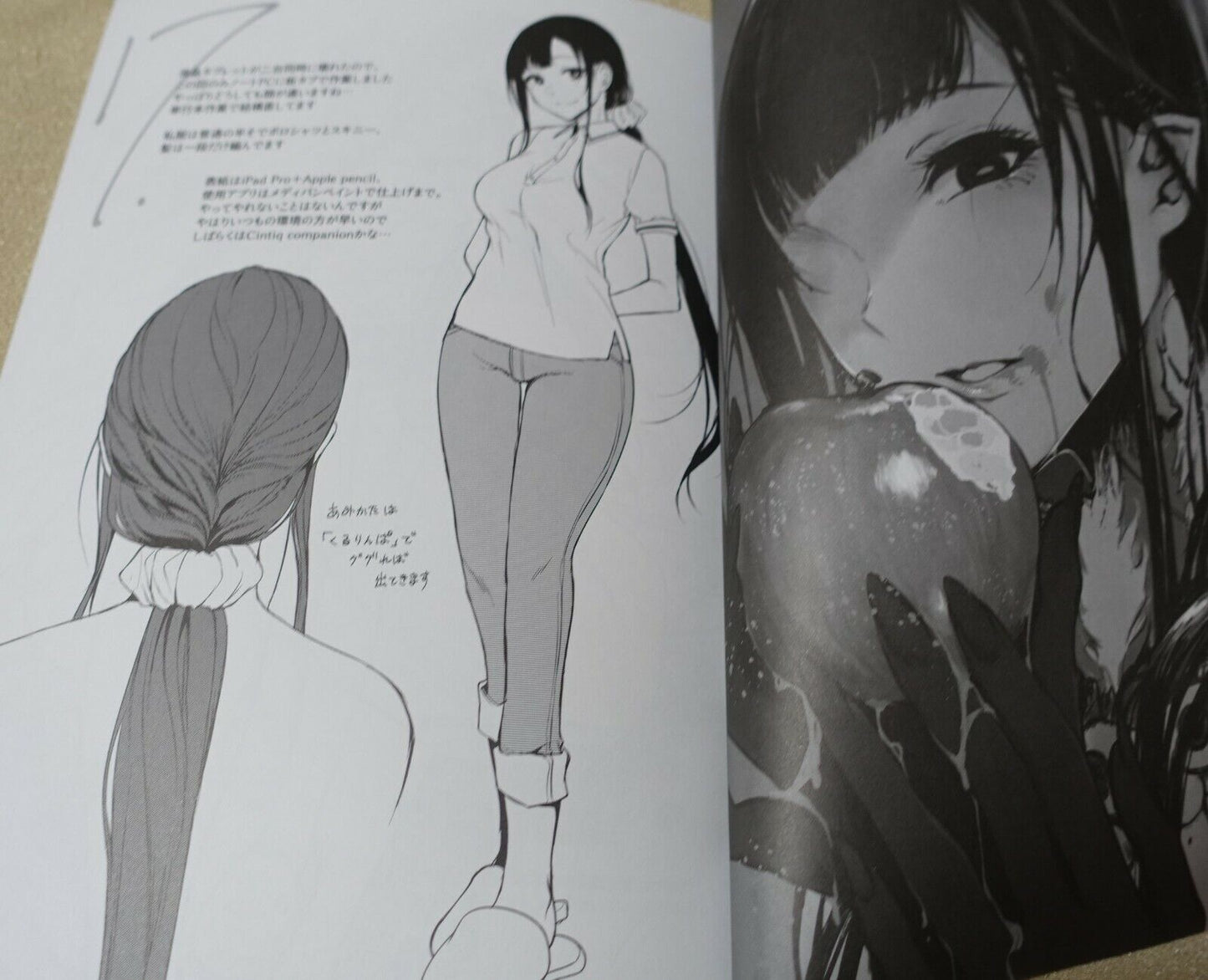 Pochi Iida Goya The Elder Sister Like One Art Book Ane Naru Mono 3.5 4.5 5.5 7.5 