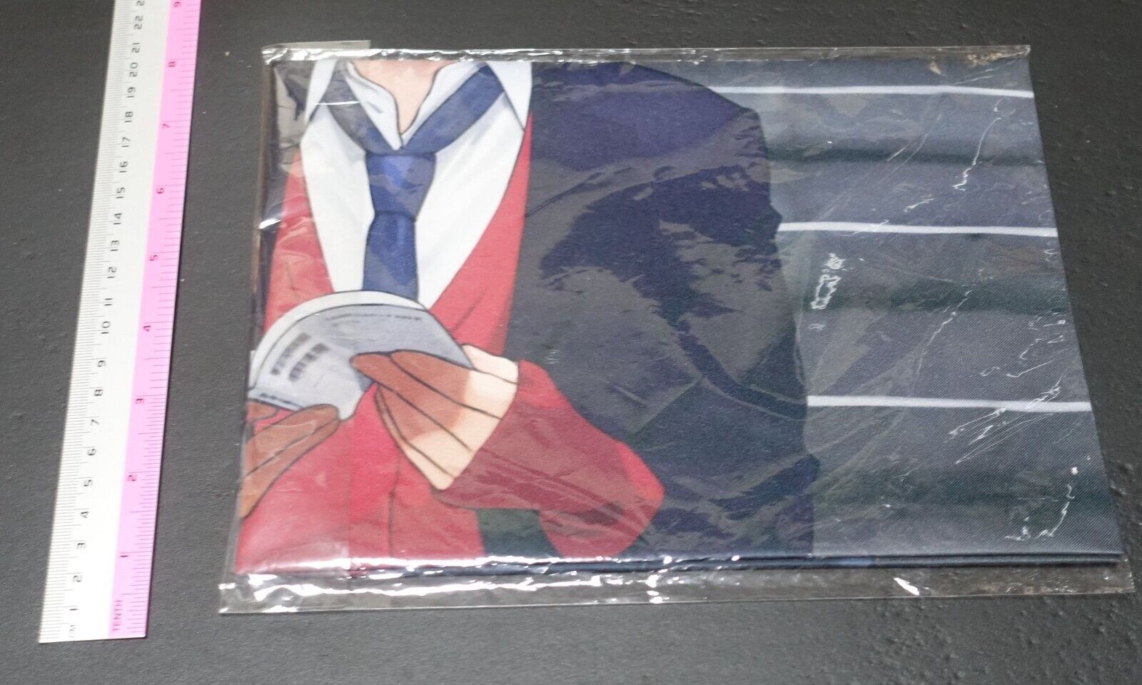 Miru Tights Yom Art Cloth Poster 51 x 72 cm from Toranoana 