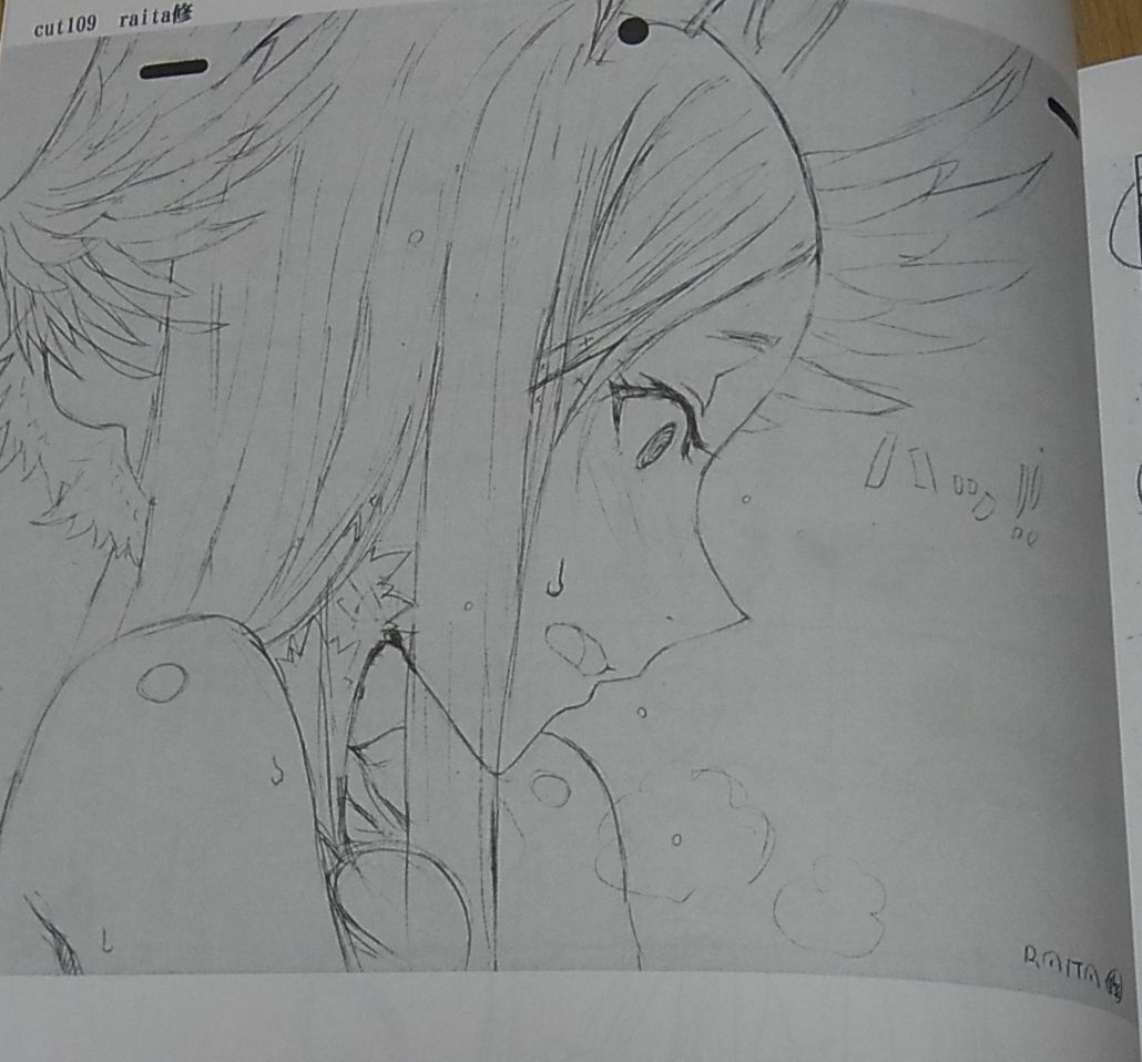 Honjou Raita Animation Absolute Whiteness Magical Girl Key Frame Art Book 