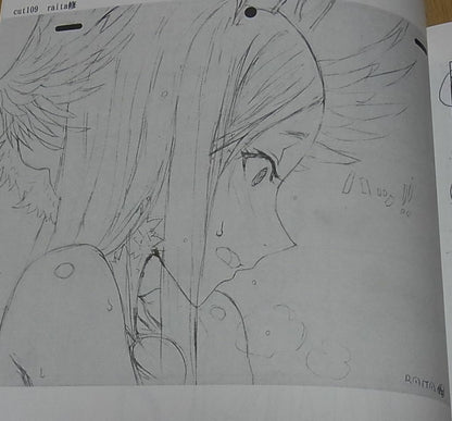 Honjou Raita Animation Absolute Whiteness Magical Girl Key Frame Art Book 