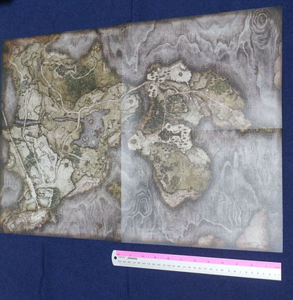 ELDEN RING World Map Poster Limgrave Area Reversible 