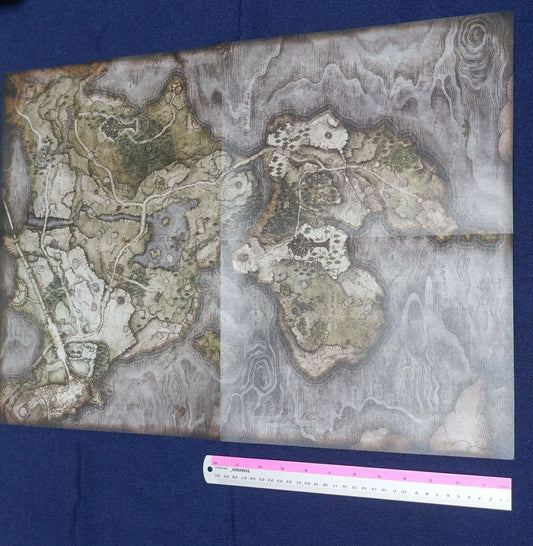 ELDEN RING World Map Poster Limgrave Area Reversible 