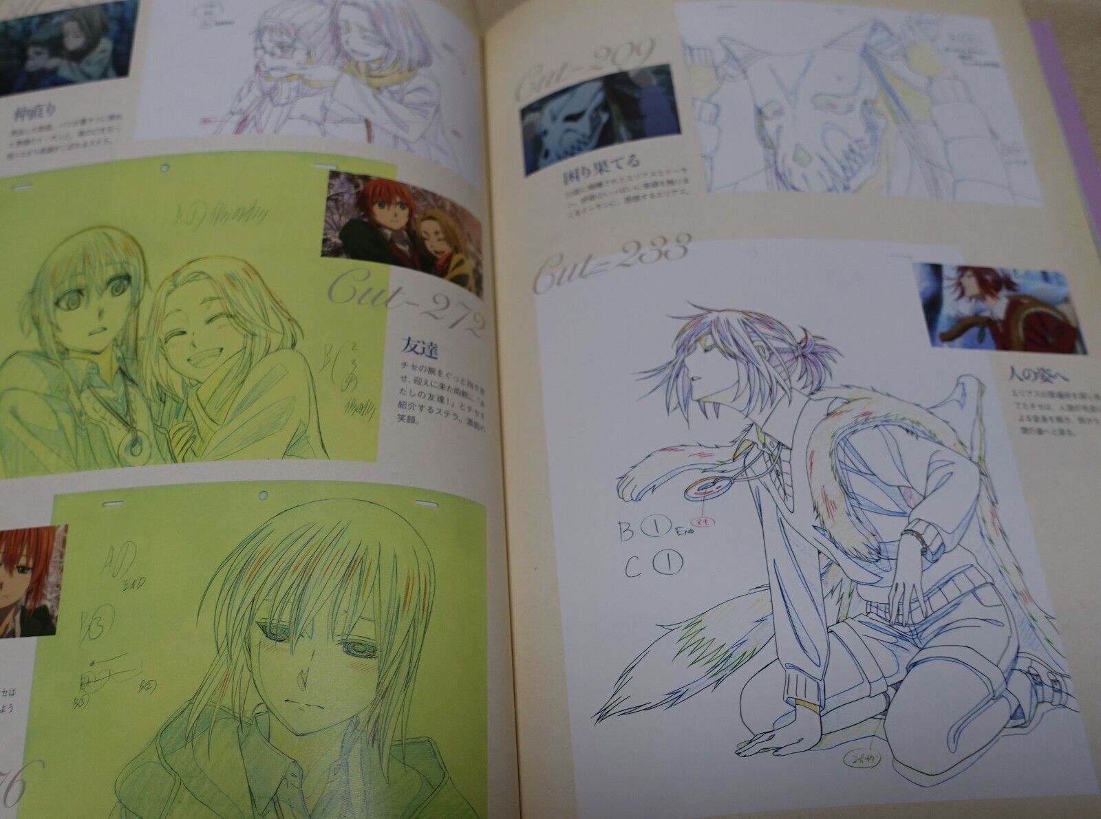 WIT STUDIO The Ancient Magus Bride Mahou Tsukai no Yome TV Animation Works 3rd 