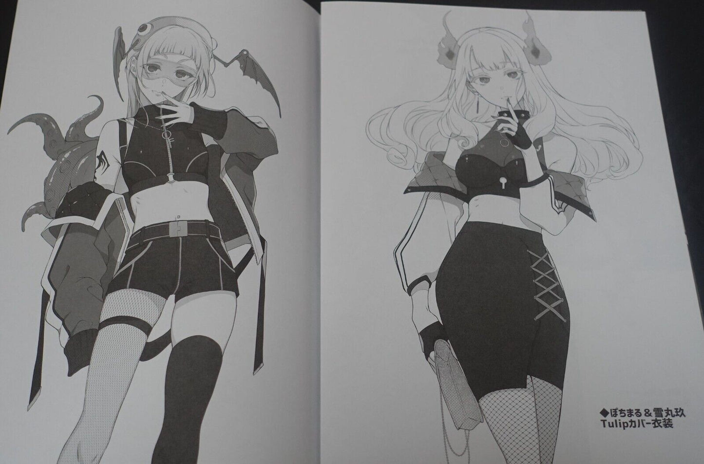 Pochi Goya VTuber Hololive Designer's Art Book Kotoshi no V matome 