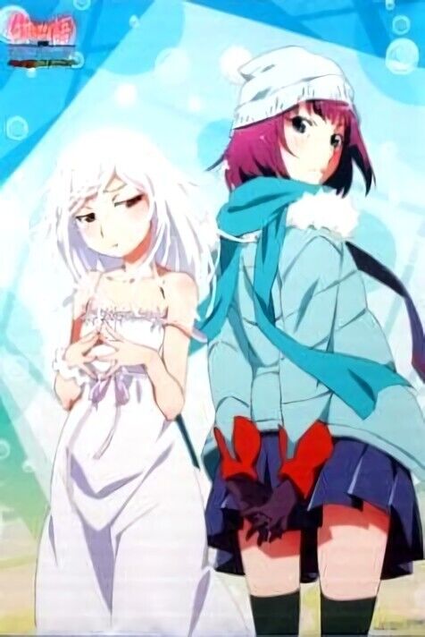Bakemonogatari 51 x 72 cm Tapestry Hitagi & Nadeko 