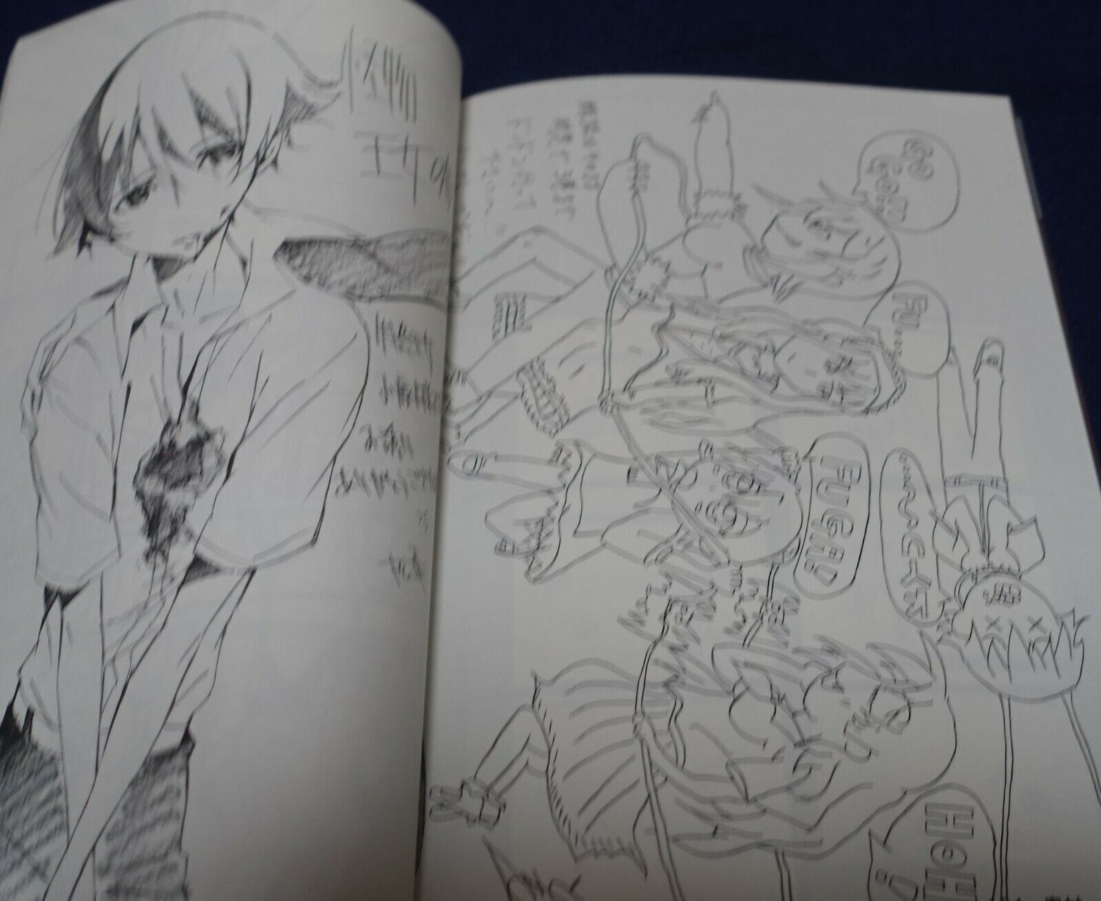 Animation Princess Resurrection Key Frame & Staff Art Book vol.2 