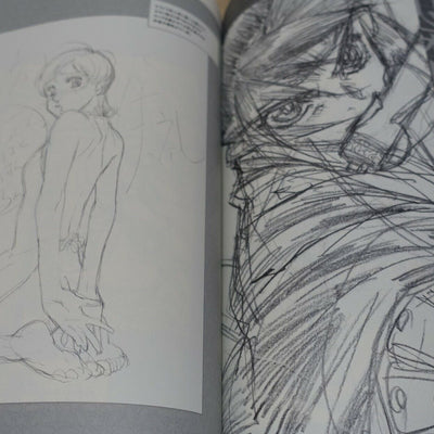 NOBUTERU YUKI Animation Art Work Book ANVIL3 ESCAFLOWNE Record of Lodoss War etc 