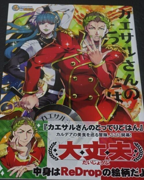ReDrop Fate Grand Order FGO Official Designer's Fan Art Book 11 Set 