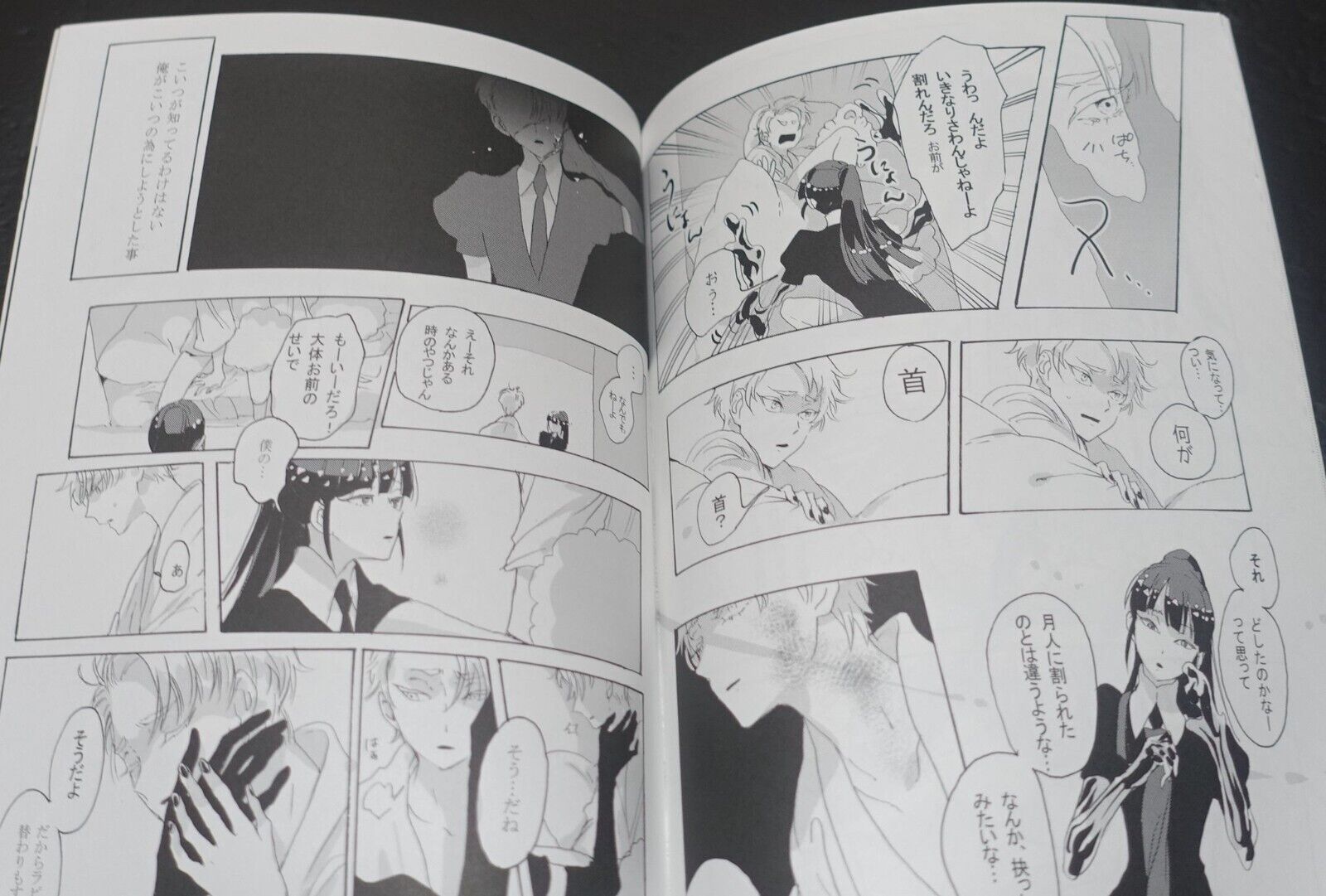Lotsurechiriha Houseki no Kuni Land of the Lustrous Color Fan Art Book Yume no 
