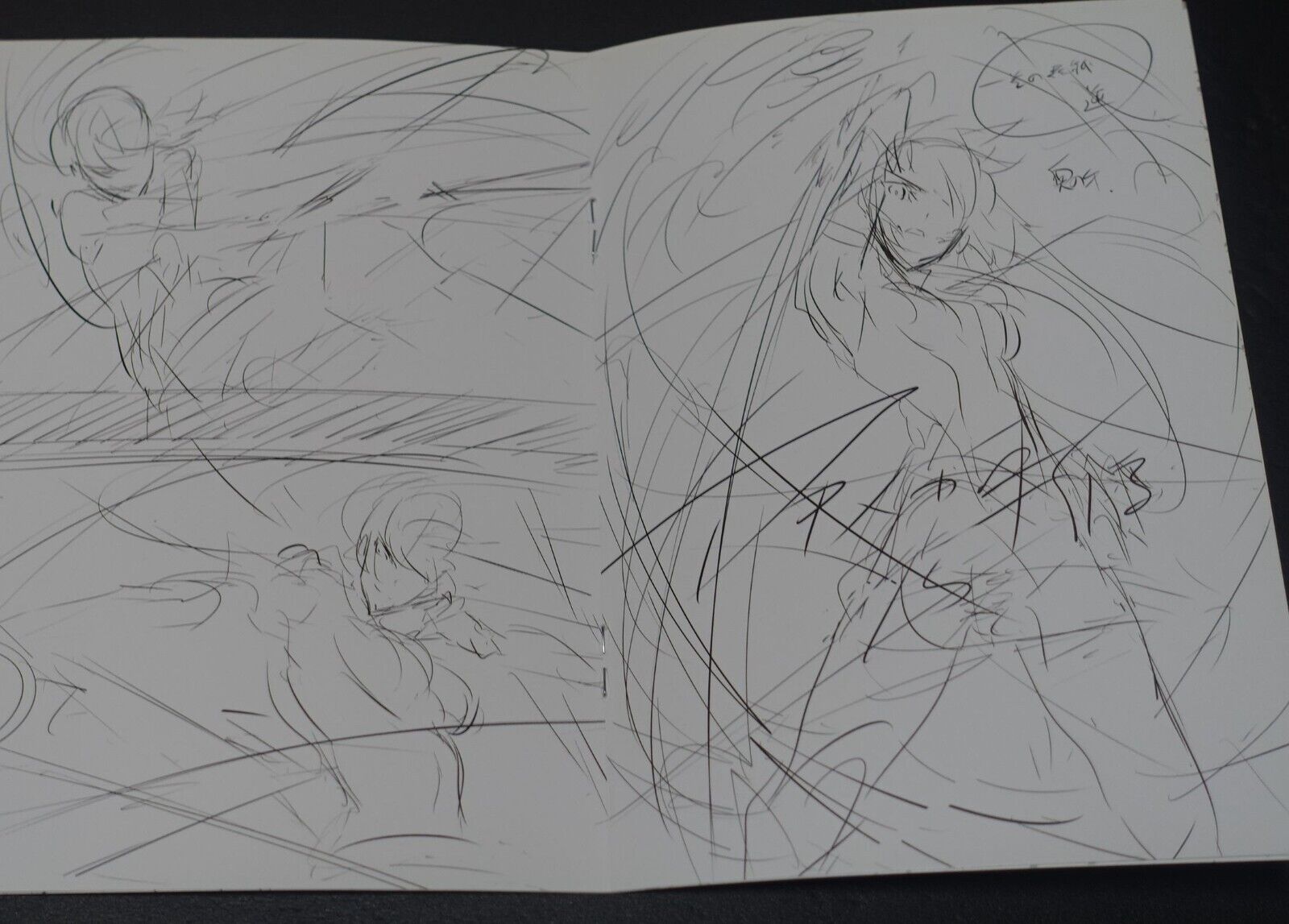 Tetsuya Tashiro Akame ga Kill! Rought Illustration Art Mini Booklet G 8page 