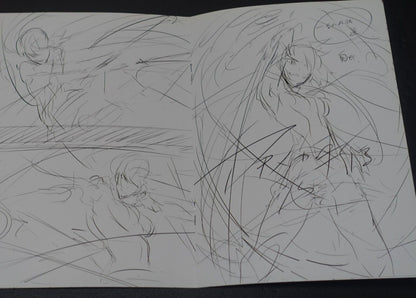Tetsuya Tashiro Akame ga Kill! Rought Illustration Art Mini Booklet G 8page 