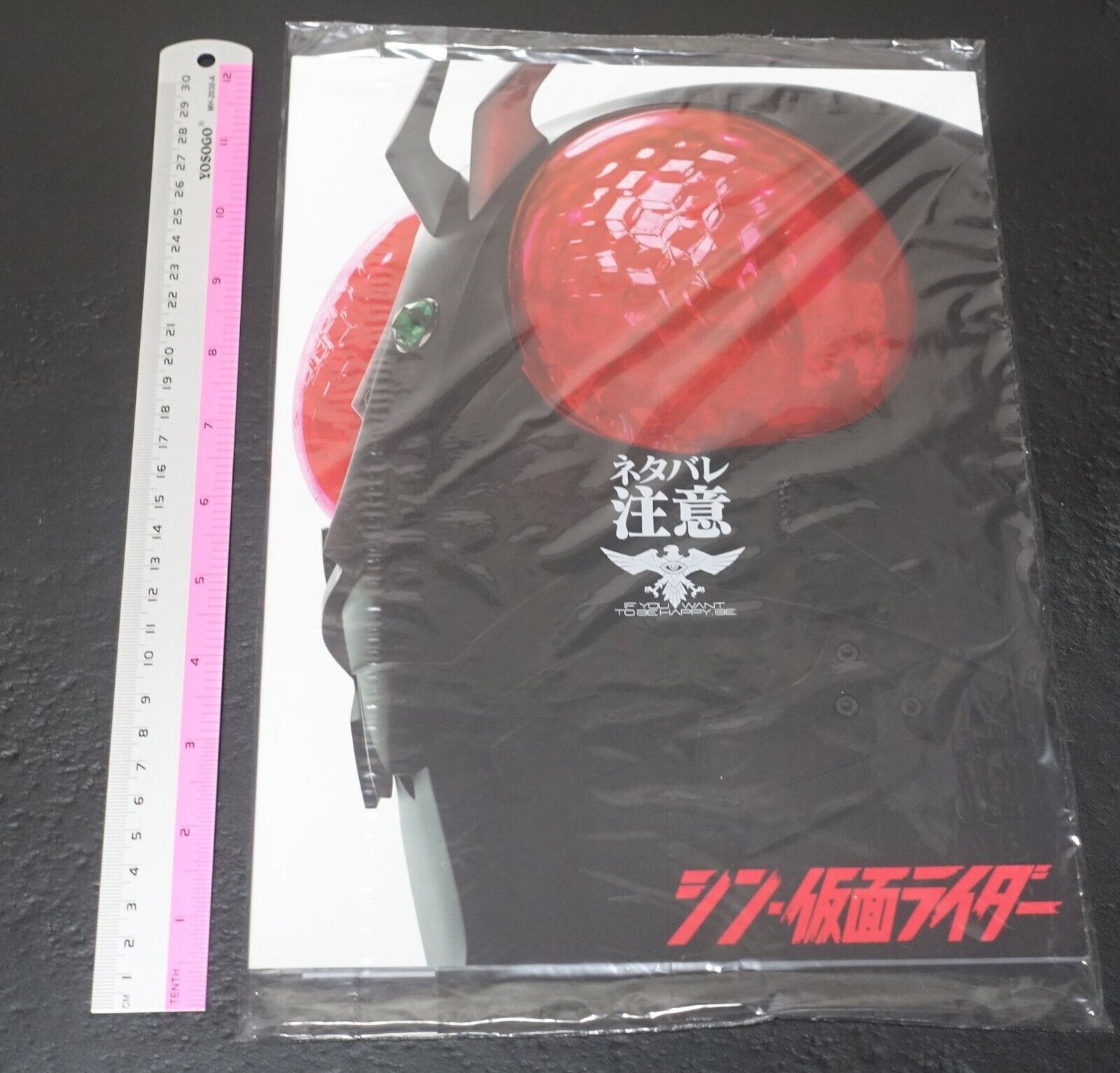 Shin Kamen Rider Brochure Pamphlet Masked 