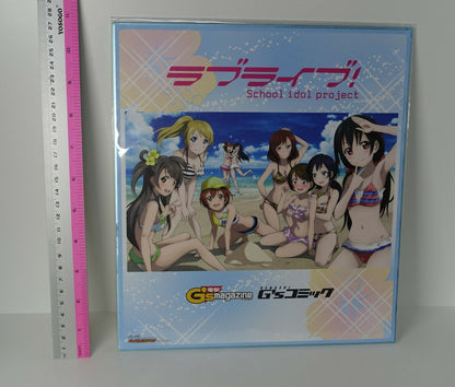 LOVE LIVE! Dengeki G's Magazine Privilege Shikishi Art Board 