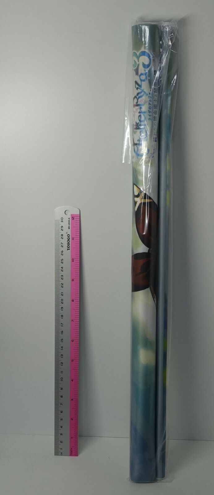Atelier Ryza 3 Reisalin Ryza Stout 51 x 118 cm Big Size Tapestry Wall Scroll 