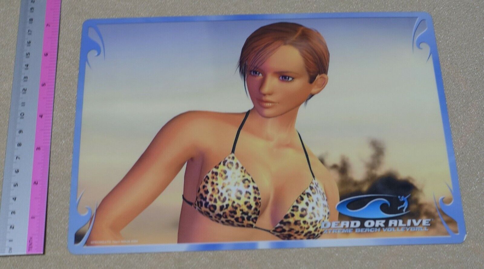 Dead or Alive Xtreme PVC Reversible Art Board Kasumi & Lisa 