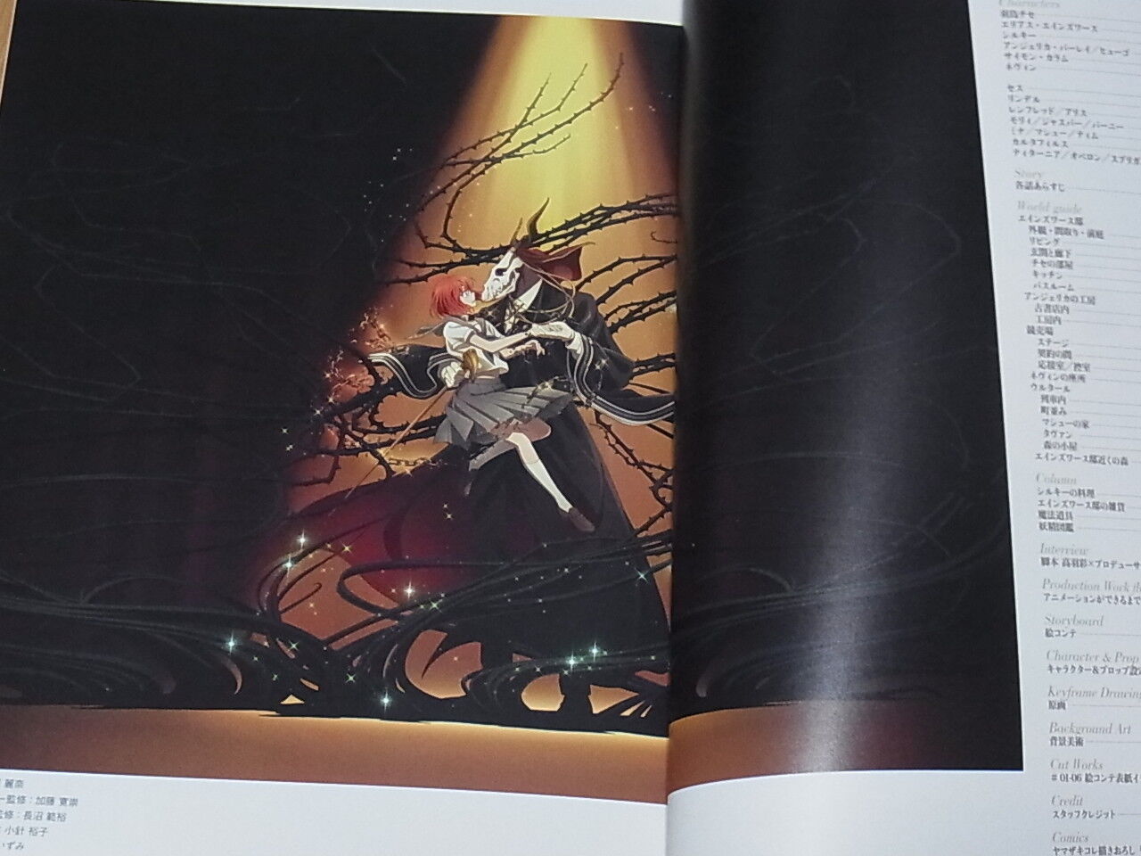 WIT STUDIO The Ancient Magus Bride Mahou Tsukai no Yome TV Animation Works 1st 