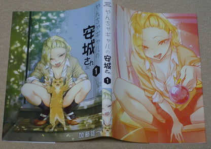 Yuichi Kato Yancha Gal no Anjo San Special Book Cover For Vol.1 