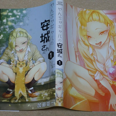 Yuichi Kato Yancha Gal no Anjo San Special Book Cover For Vol.1 