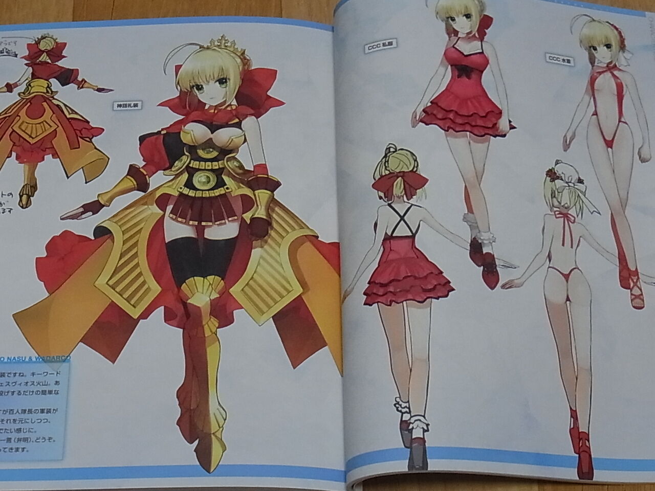 TYPE-MOON Fate EXTRA material Arco Wada 