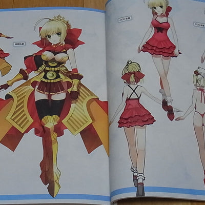 TYPE-MOON Fate EXTRA material Arco Wada 