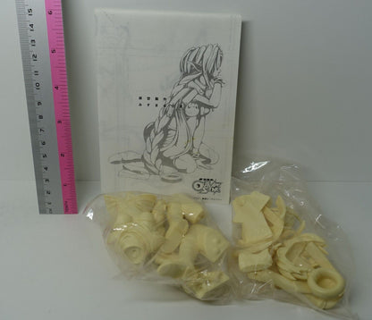 ALPHA Unfinished Resincast Kit Outlaw Star Aisha Clanclan Garage Kit 