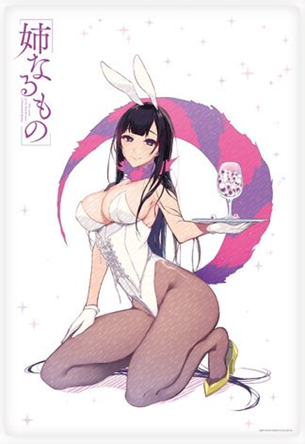 Ane Naru Mono The Elder Sister Like One Chiyo Event Limited Blanket 100x70cm C95 