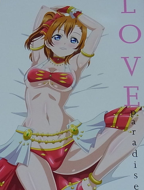 Milugyu Love Live Fan Art Book LOVE paradise LOVELIVE 